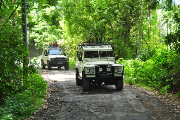 Bali Tropical Safari