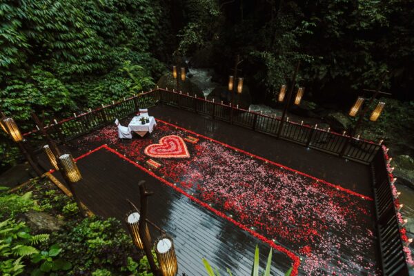 Discover Love in the Wild: Nandini Jungle’s Romantic Dining by the River