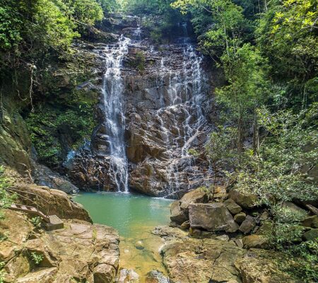 Into the Wild: A Three-Day Romp through Malaysia’s Rompin State Park