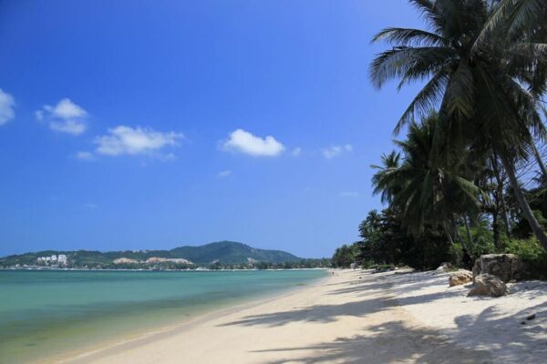 Best Beaches in Koh Samui: The Ultimate Guide