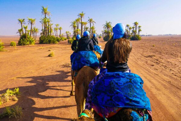 Top 10 Must-Visit Destinations in Morocco: A Traveler’s Guide