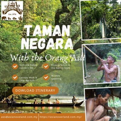 Taman Negara: 4-Day Orang Asli Adventure and Jungle Trek