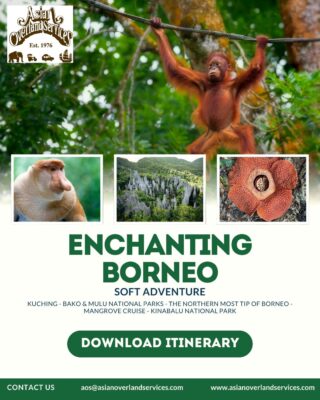 The Wonders of Borneo: A 9-Day Adventure through Sarawak and Sabah